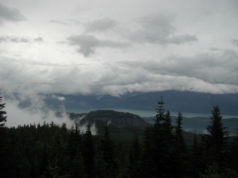 1985 Ford Bronco - A cloudy, overcast sky looms over a dense forest and a body of water in the distance.