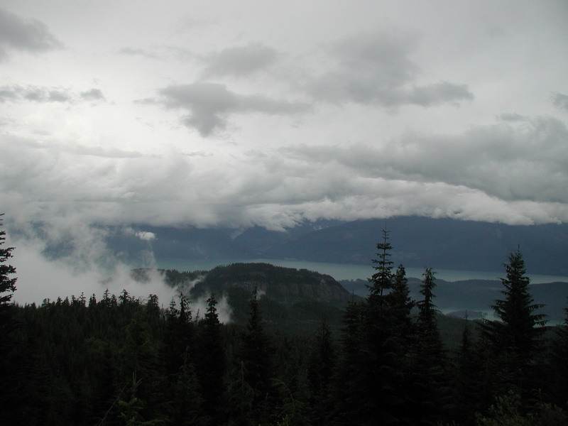 Overcast sky above a forest and water.