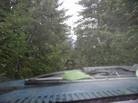 1985 Ford Bronco - Heading back down the the main road.
