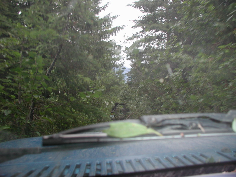 Heading back down the the main road.