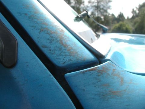 1985 Ford Bronco - It is the bark stuck to the paint, and you can scrape it.