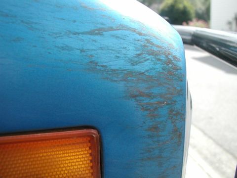 1985 Ford Bronco - Now that 's some good BC Pinstriping!