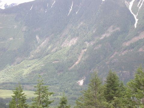 1985 Ford Bronco - You can barely see it, but there is a helicopter doing some logging.