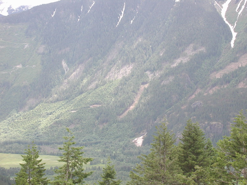 You can barely see it, but there is a helicopter doing some logging.