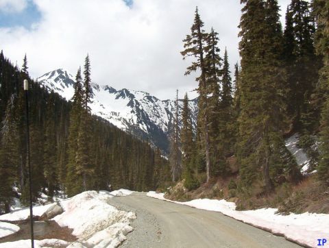 1985 Ford Bronco - A dirt road winds through a forest with snow-covered mountains in the background.