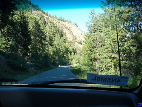 1985 Ford Bronco - A winding paved road leads through a dense forest of pine trees on a sunny day, as seen from the interior of a vehicle. A sticker with reve…