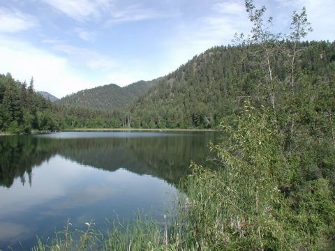 1985 Ford Bronco - A calm lake reflects the surrounding evergreen-covered hills and a partly cloudy sky.