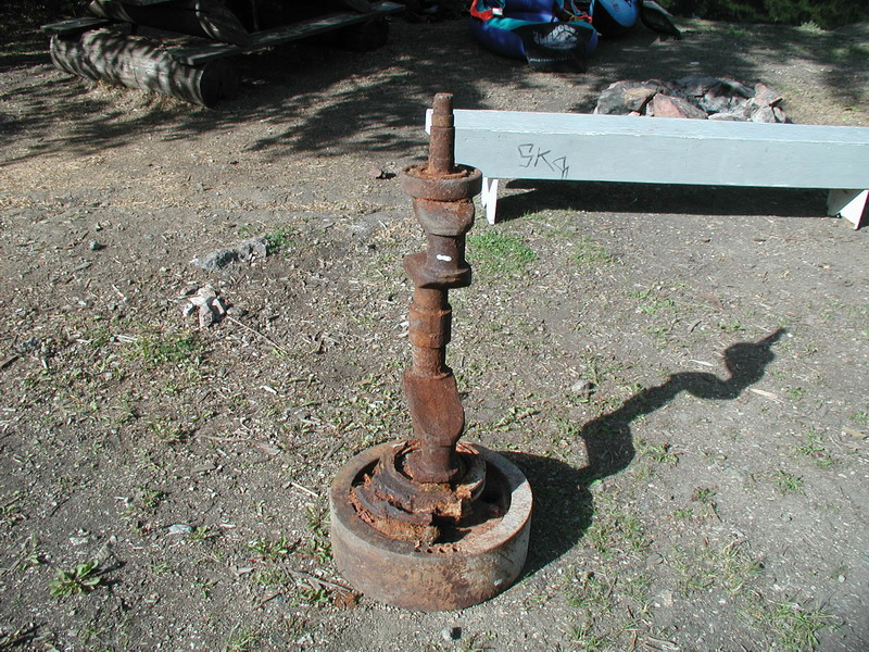 I saw this by the boat launch. Not sure what it was.