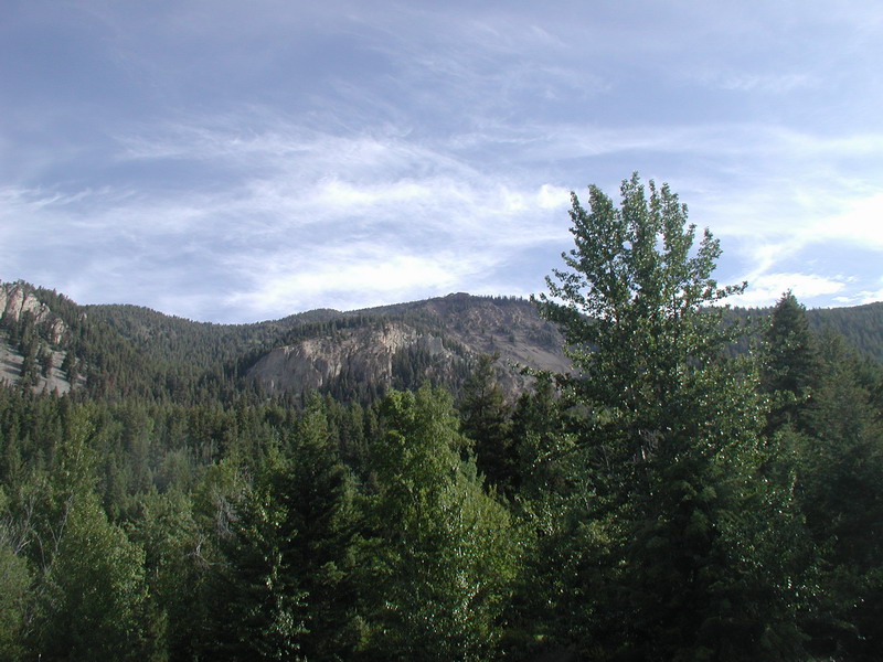 Forest landscape with mountains and trees under a cloudy sky.
