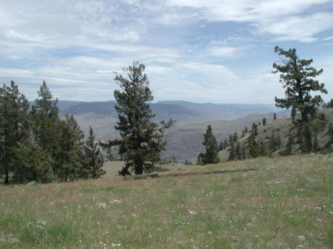 Scenic view of rolling hills, mountains, and evergreen trees under a cloudy sky.