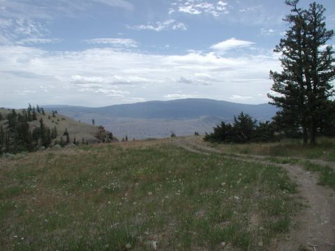 Grassy hillside with trees overlooking a valley under a cloudy sky.