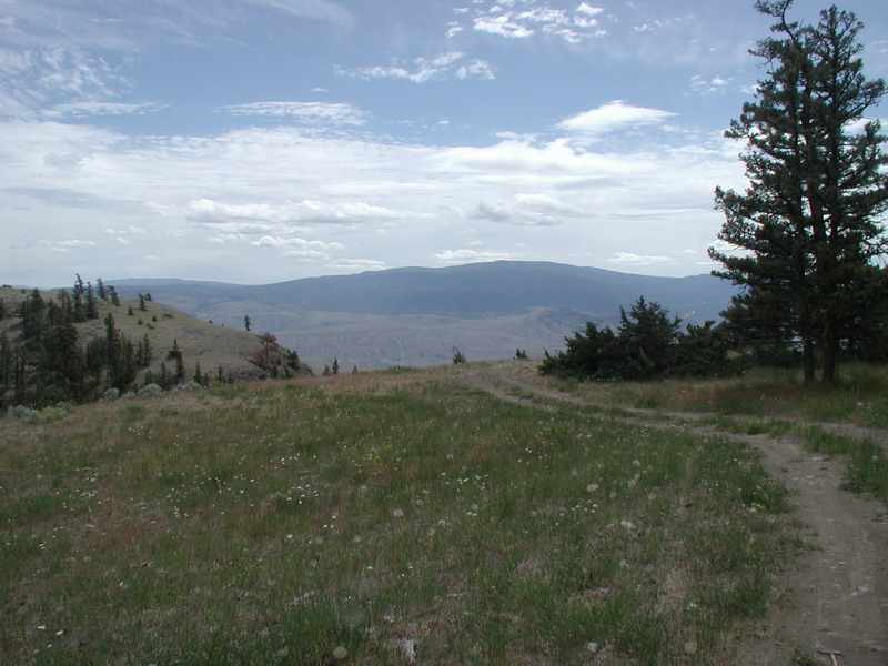 Grassy hillside with trees overlooking a valley under a cloudy sky.