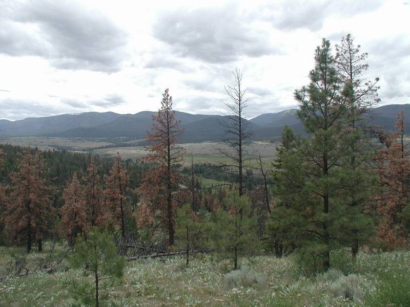 Looking down towards Hat Creek.