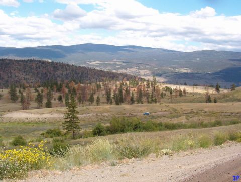 Blue SUV on a dirt road with wildflowers and pine trees in a hilly landscape.