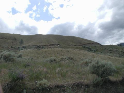 Grassy hillside with a dirt road and scattered shrubs under a cloudy sky.