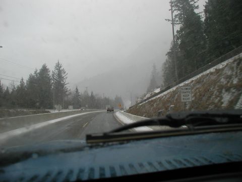 1985 Ford Bronco photo