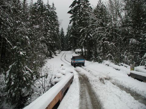Blue Ford Bronco driving on a snowy forest road.