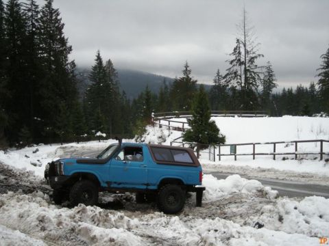 1985 Ford Bronco photo