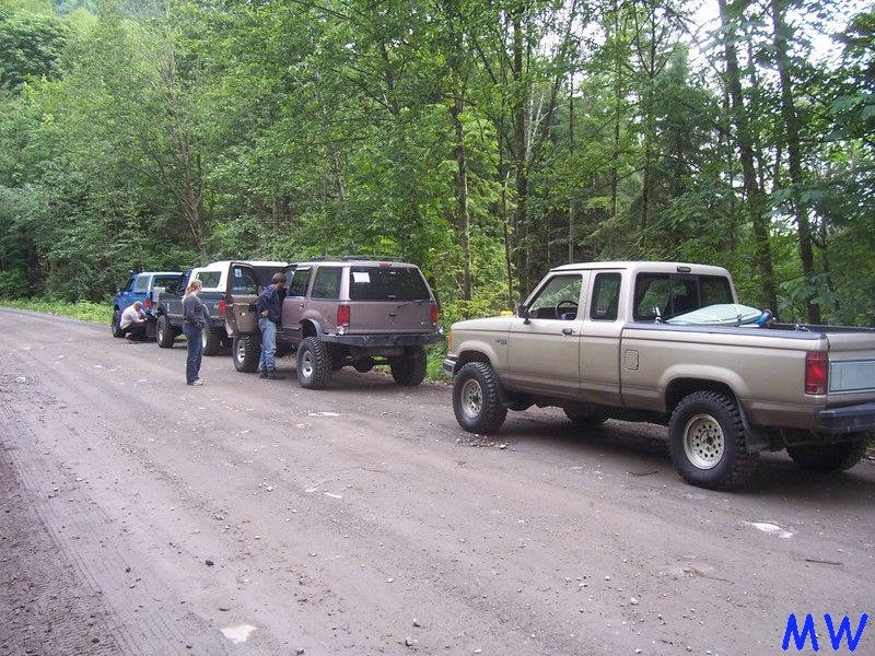 Tan Ford Ranger pickup truck with off-road tires and a surfboard in the bed, parked behind several SUVs on a dirt road in a forest.