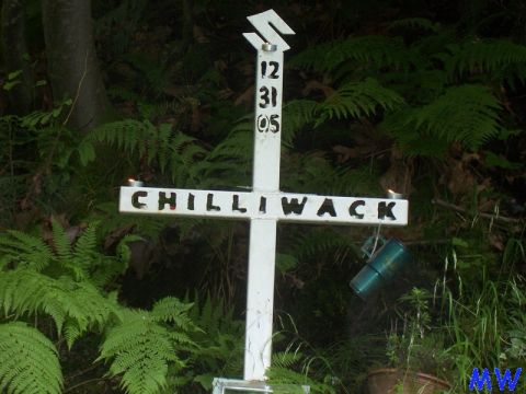 1985 Ford Bronco - A white cross with the name CHILLIWACK and the date 12 31 05 is set up in a wooded area with ferns. A teal colored cup hangs from the cross.