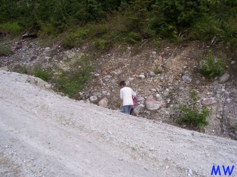 Person walking down a rocky, wooded hillside.