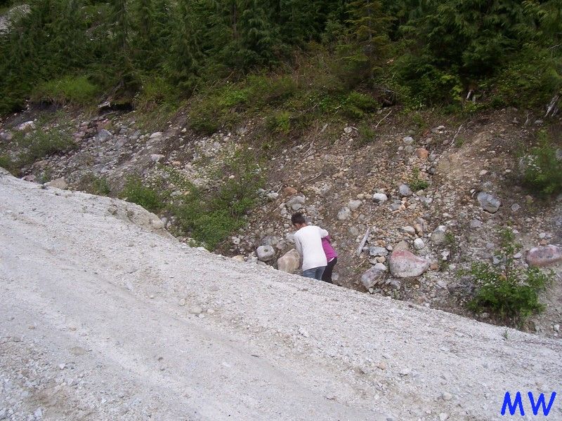 Two people walking up a rocky, wooded hillside next to a dirt road.