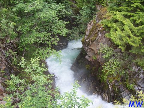 A rushing river flows through a rocky gorge surrounded by lush green trees and foliage.