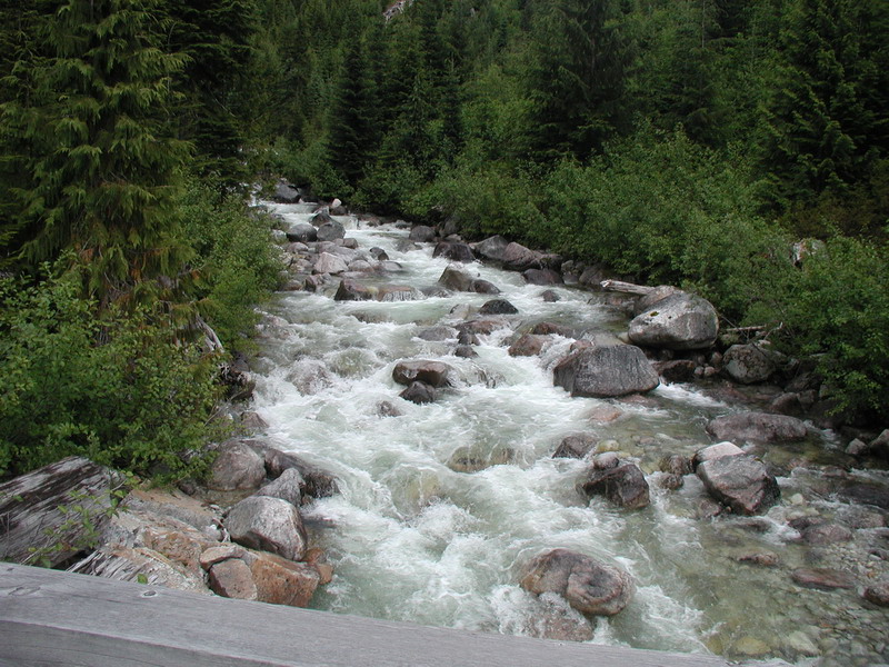 A rocky river flowing through a forest with trees on either side.