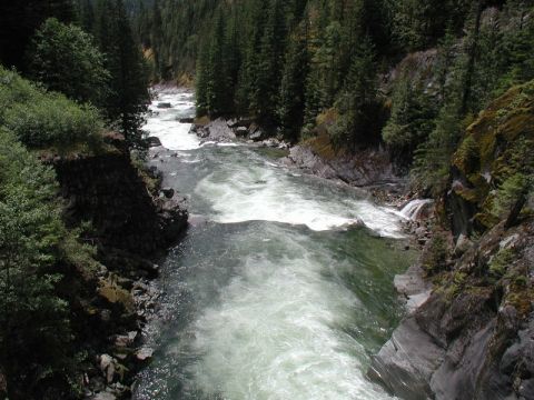 A fast-flowing river in a rocky canyon with evergreen trees on the slopes.