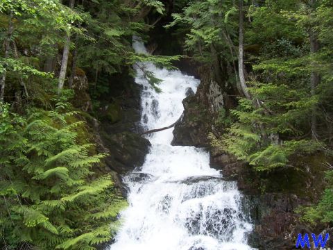 Waterfall in a forest setting.