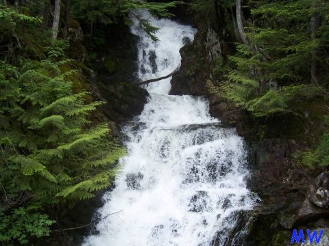 Waterfall cascading over rocks with trees and foliage.