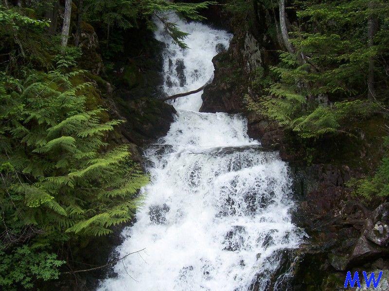 Waterfall cascading over rocks with trees and foliage.