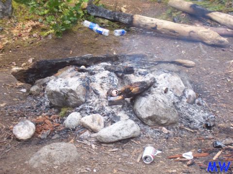 A messy campfire scene with ashes, rocks, burnt logs, and trash.