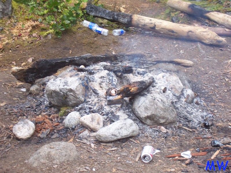 A messy campfire scene with ashes, rocks, burnt logs, and trash.