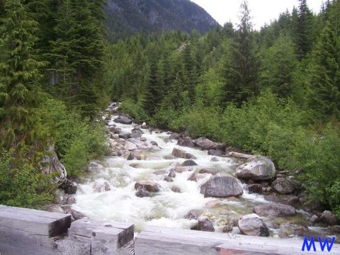 A river flowing through a forest with mountains in the background.