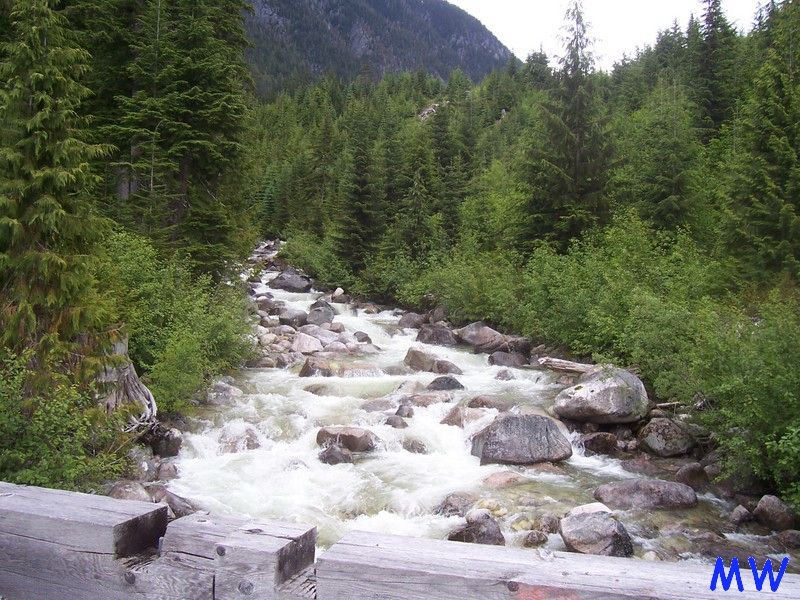 A river flowing through a forest with mountains in the background.
