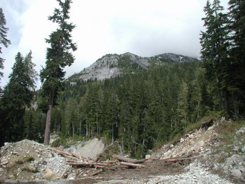 Landslide with debris and forest in front of a rocky mountain peak.