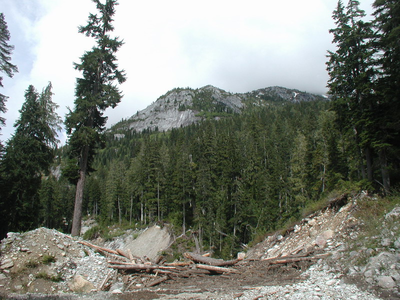 Landslide with debris and forest in front of a rocky mountain peak.