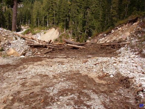 Landslide blocking a dirt road with logs and debris in a forest.