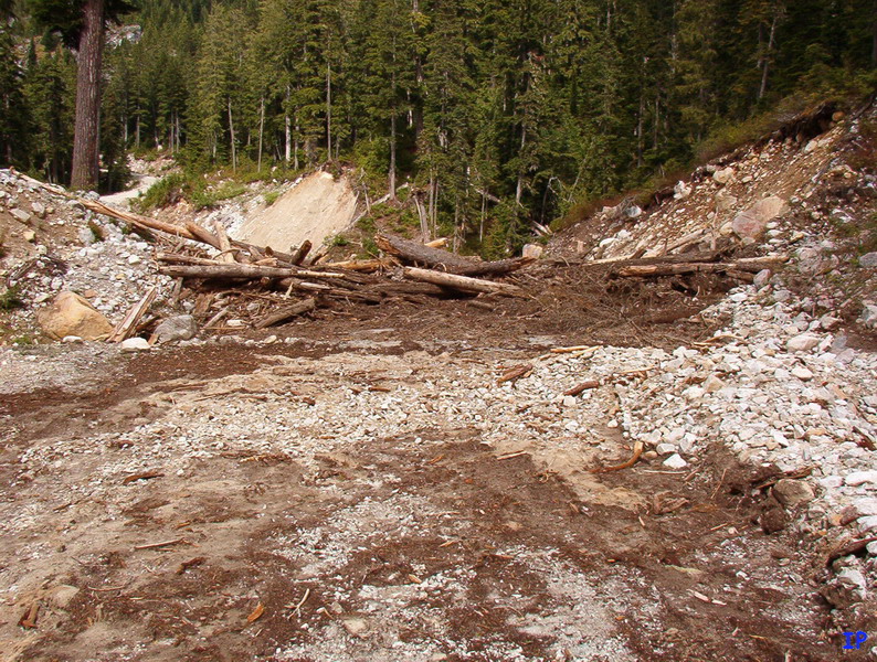 Landslide blocking a dirt road with logs and debris in a forest.