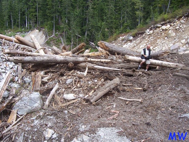 A man stands in a debris field of fallen trees and mud on a forested mountainside.