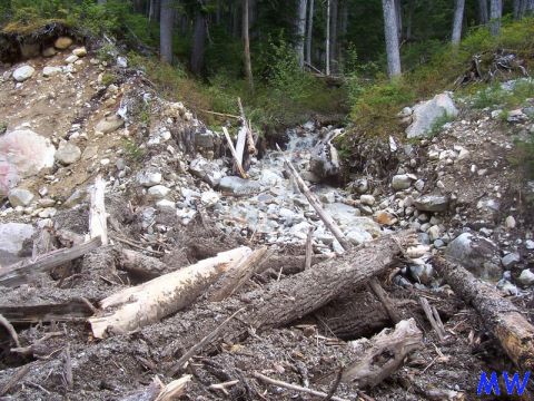Landslide in a forest with debris and a stream.