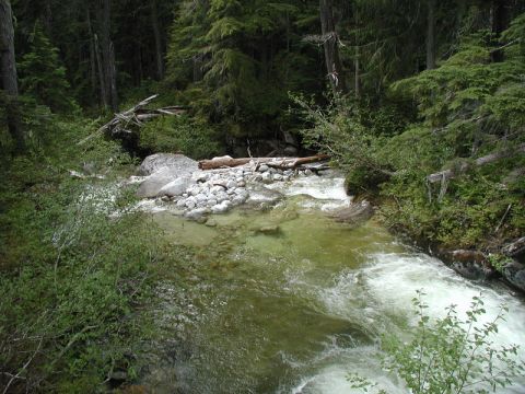 A river flowing through a dense forest with rocky banks and fallen logs.