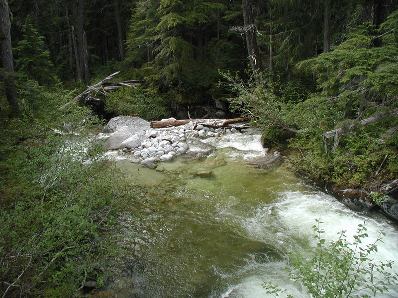 A river flowing through a dense forest with rocky banks and fallen logs.