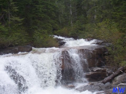 Waterfall in a forest with rocks and trees.