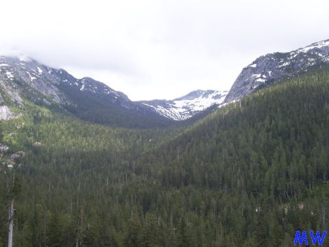Forested mountain valley with snow-capped peaks under a cloudy sky.