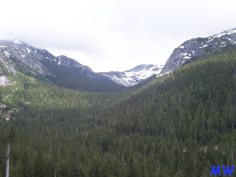 Forested mountain valley with snow-capped peaks under a cloudy sky.