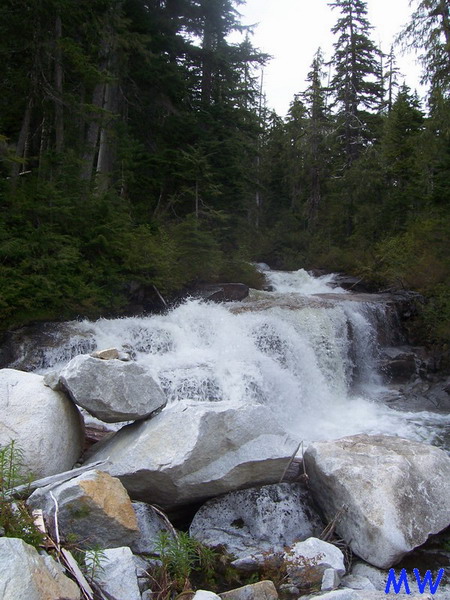 Waterfall in a forest with large rocks in the foreground.