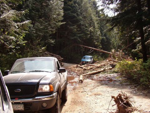 Black Ford Ranger pickup truck on a muddy forest road with fallen trees.