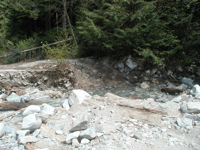 Rocky stream bed with fallen trees and forest.